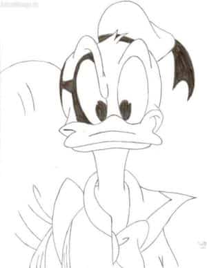 Doppelleben Donald Duck