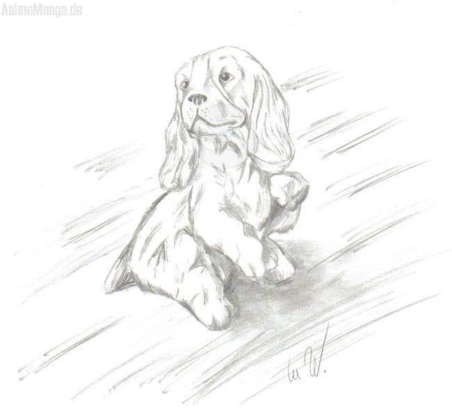 Mal ein richtiger Hund O_o