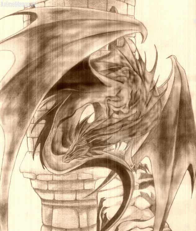 Stormdragon im Foto-Stil ^_^