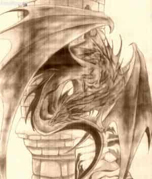 Stormdragon im Foto-Stil ^_^