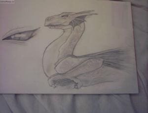 mein erster Drache