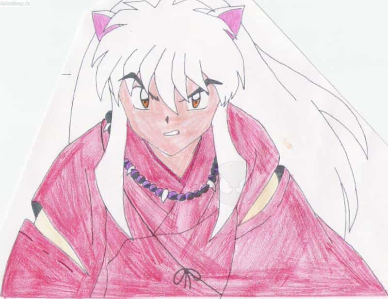 Inuyasha in Kampflaune