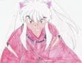 Inuyasha in Kampflaune