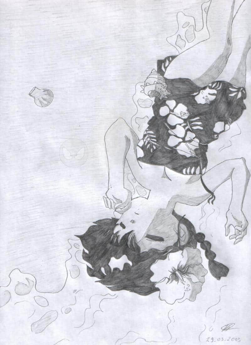 Ranma-chan gestrandet