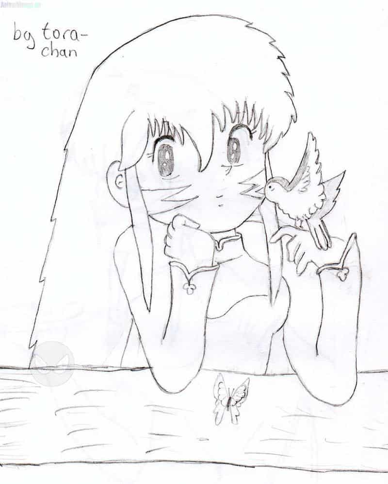 tora-chan mit Vögelchen und Schmetterling