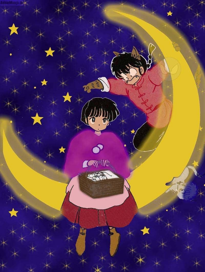 ranma, akane und shampoo-neko