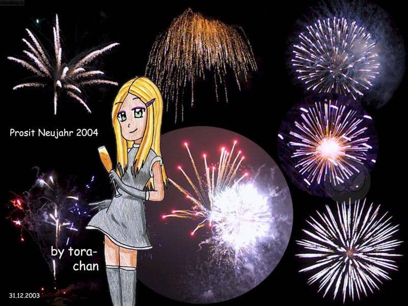 ein klenes Silvester-pic mit nem klenen tora-chan im Vordergrund und nem GROßEN Feuerwerk im Hintergrund
