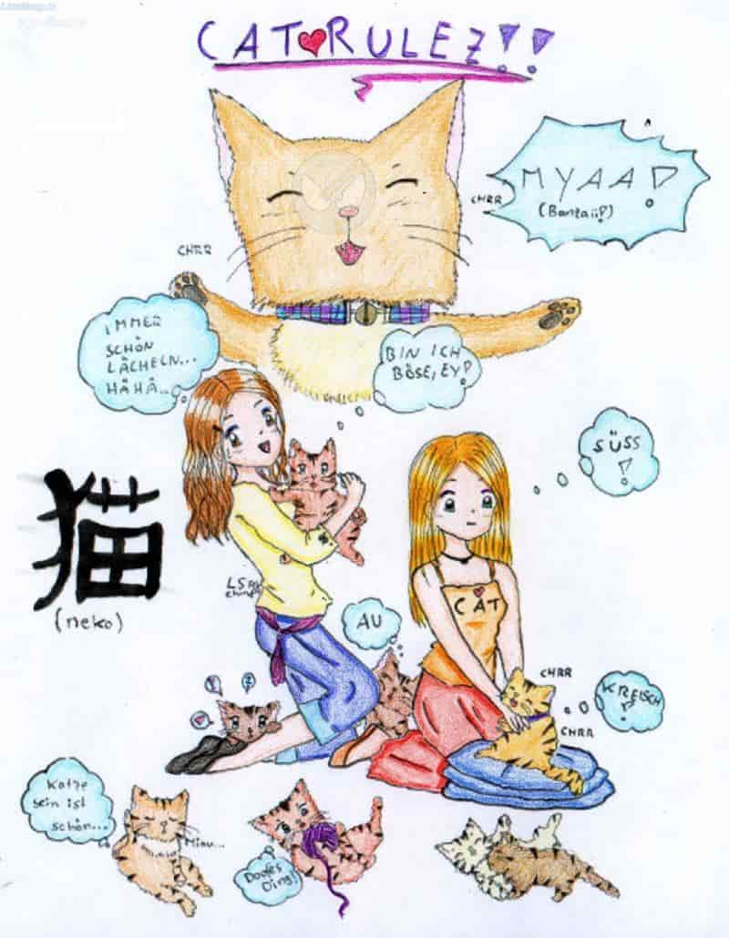 de seknd picschör for chinaneko *grins*