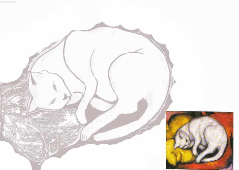 Weißer Kater mit Original ^^