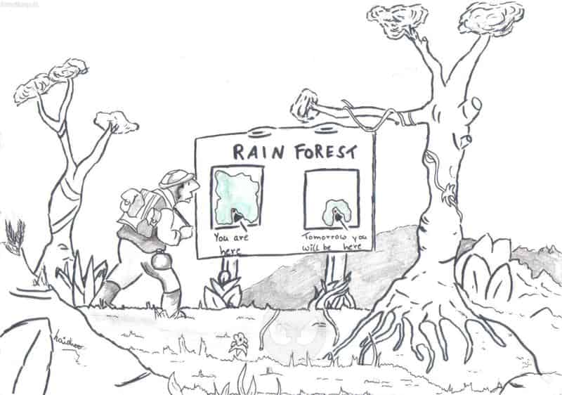 Rain Forest ..tomorrow