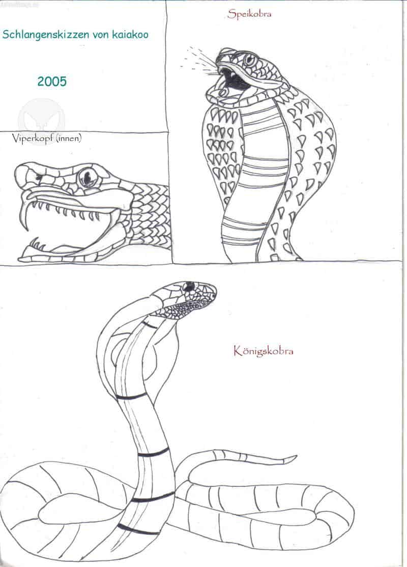 Schlangenskizzen (Kobra/Viper)