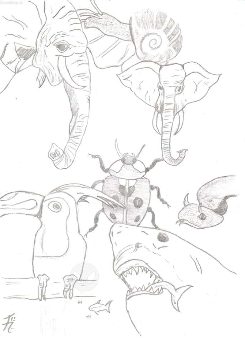 Tierskizzen