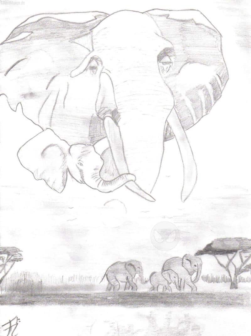 Elefanten-für meine kleine