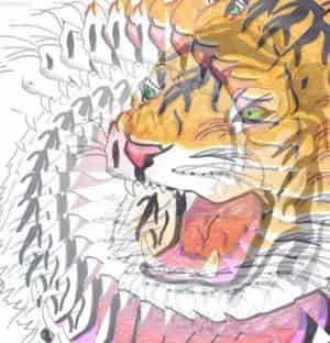 Illusion of Tigerkopf