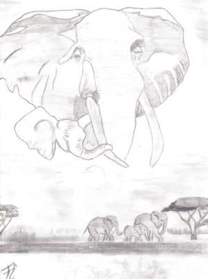 Elefanten-für meine kleine