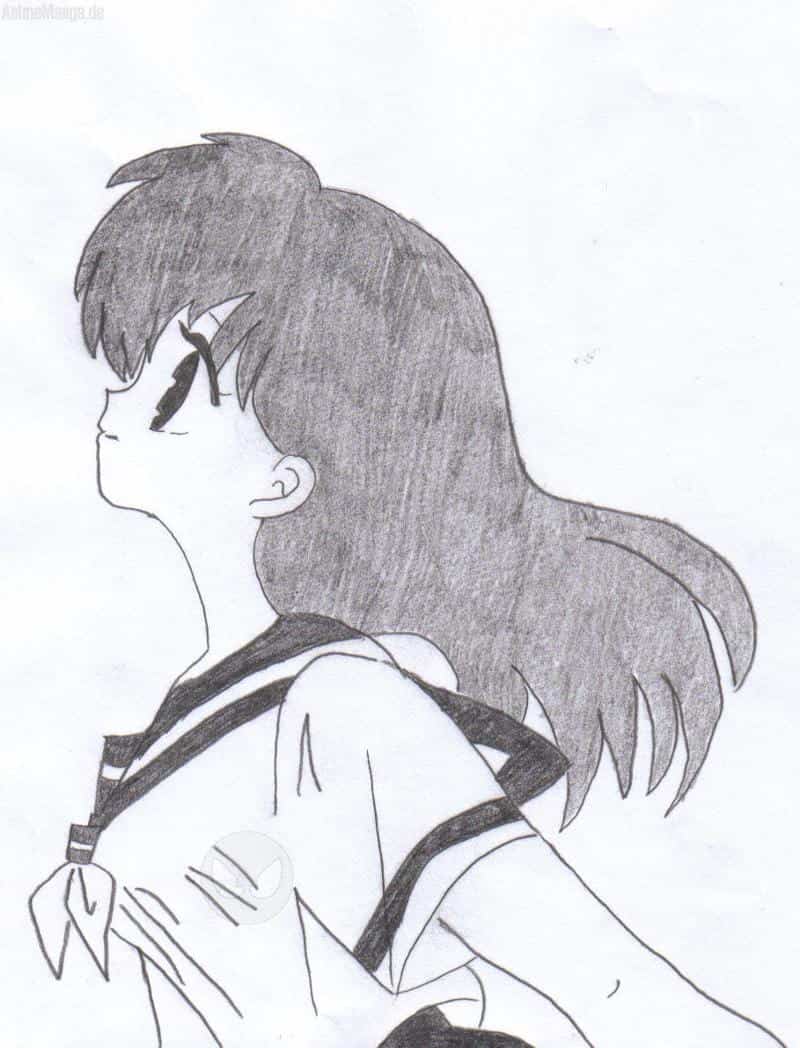 Kagome on the site