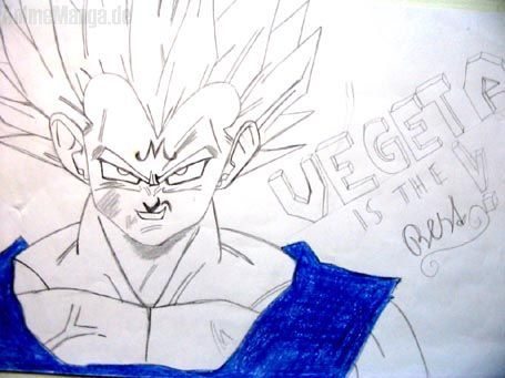 Vegeta is the Best!!!