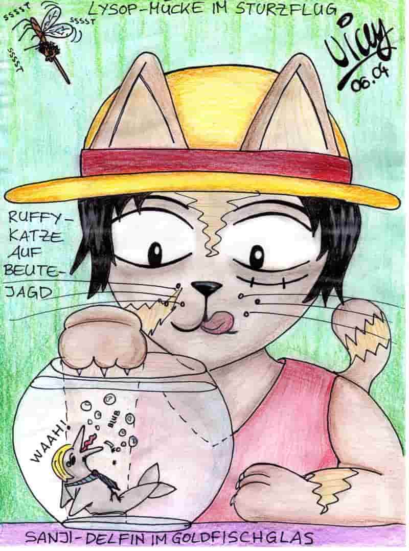 Ruffy-Katze, Lysop-Mücke und Sanji-Delfin im Goldfischglas XD