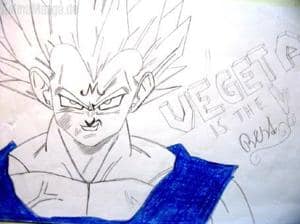 Vegeta is the Best!!!