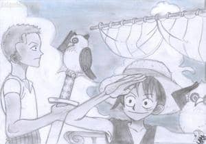 Zorro, Ruffy, Vögel!