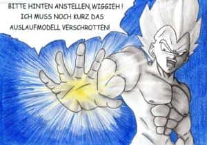 Wiggiehs Vegeta-Colo für Darky!
