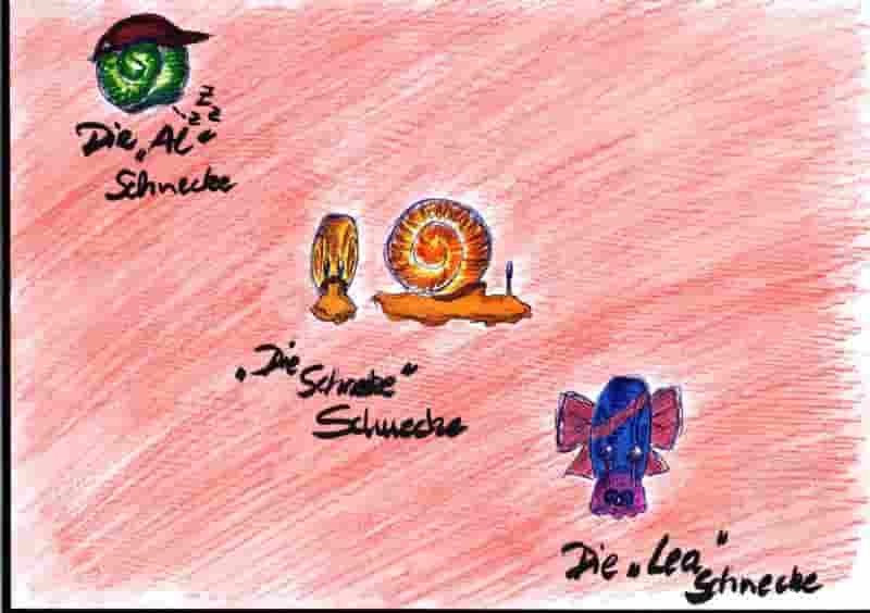 DIE 3 Schnecken