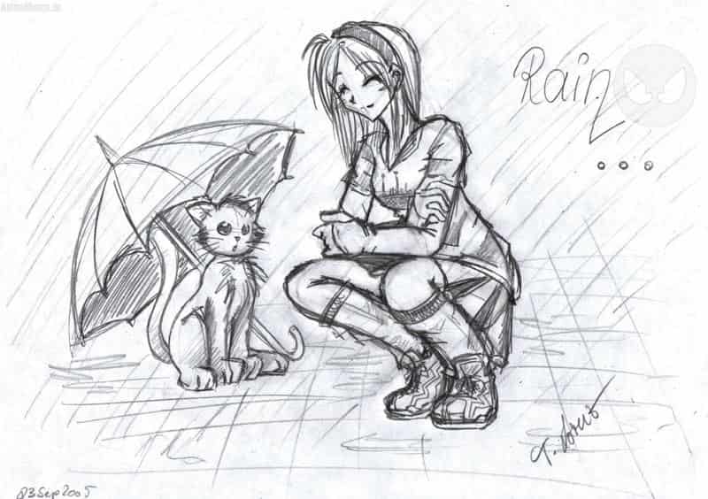 fine day for ducks but not for cats