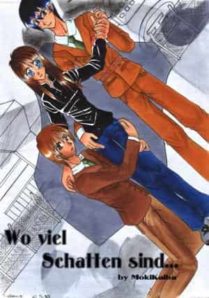 Wo viel Schatten sind..