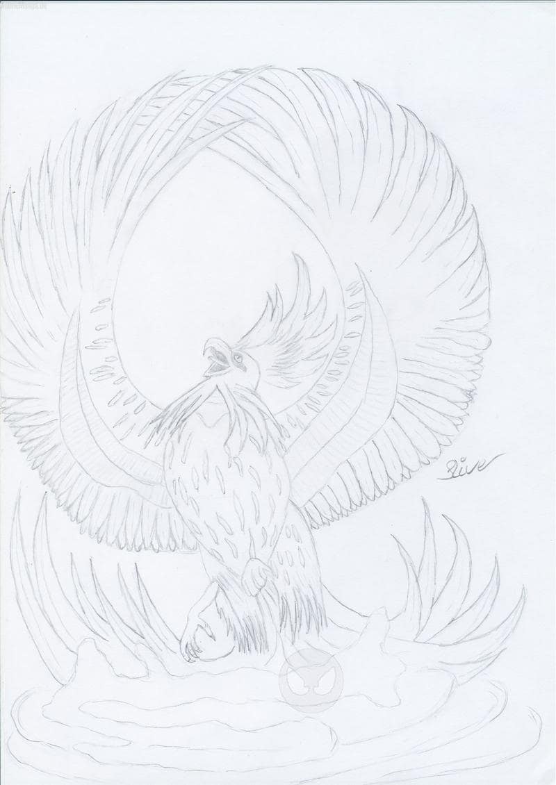 Phoenix