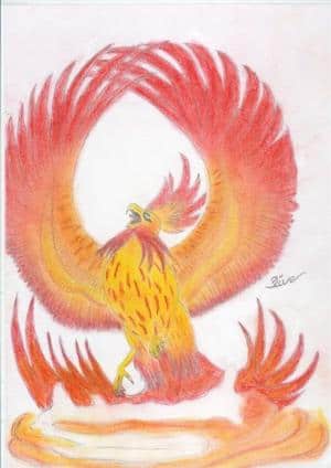 Phoenix mit colo