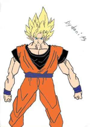 Goku(Farbe)