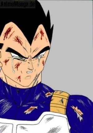 Vegeta trauert