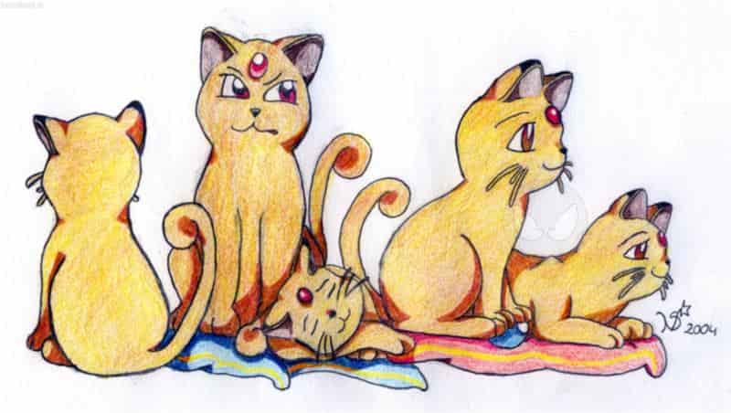 A Mix of Luna and Snoboilikat