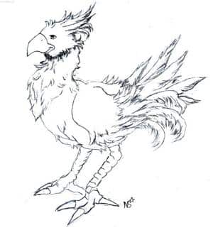 Chocobo
