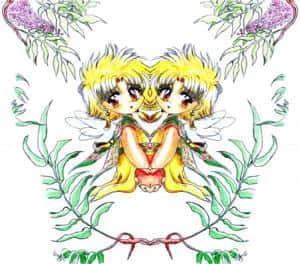 Kohaku/gespiegelt (colo)