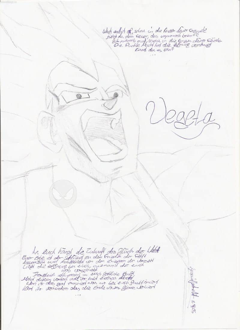 Vegeta für Veggie ^__^