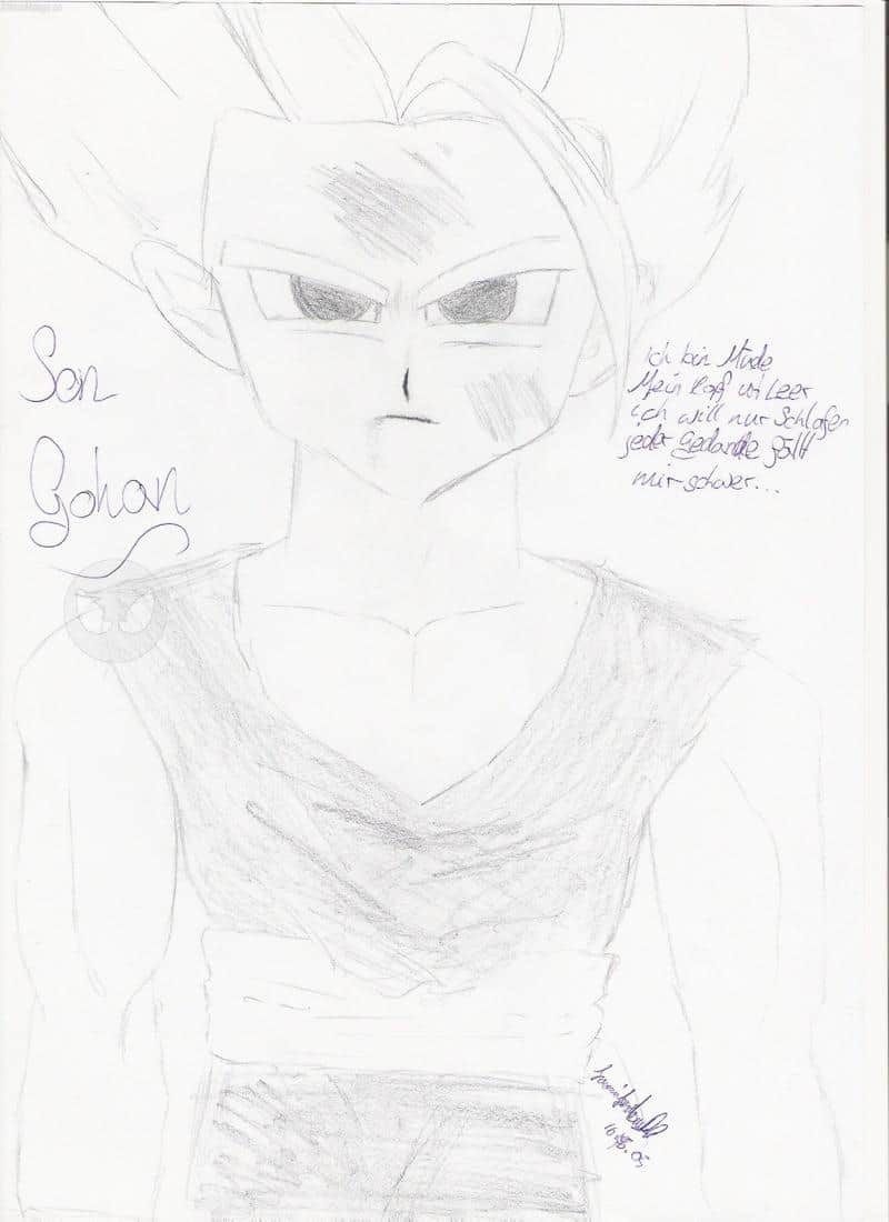 Son Gohan für RayKa ^__^