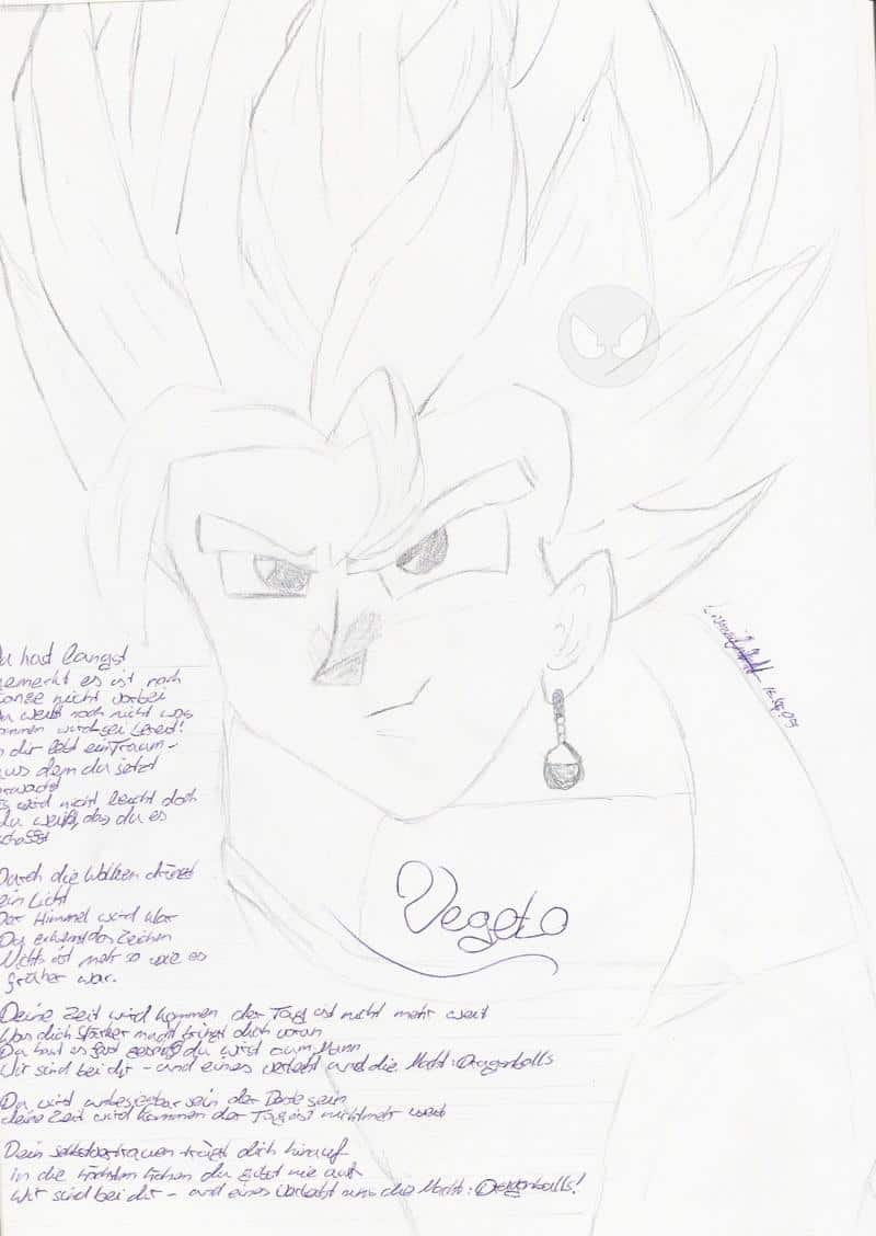 Vegeto aus Spaß ^__^