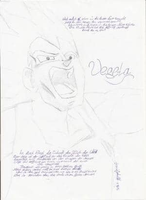 Vegeta für Veggie ^__^