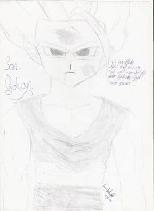 Son Gohan für RayKa ^__^