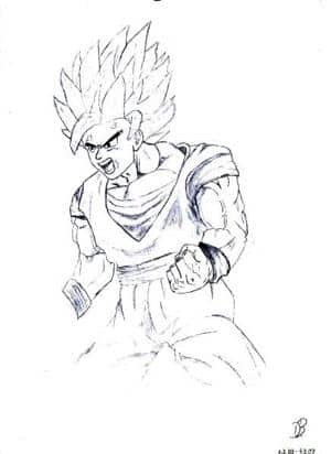 Son Goku