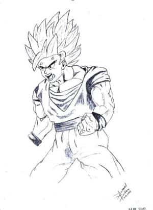 Son Goku 2