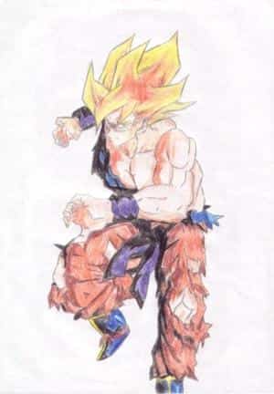 Son-Goku 2
