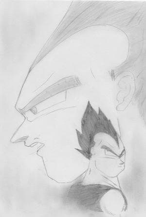 Vegeta02