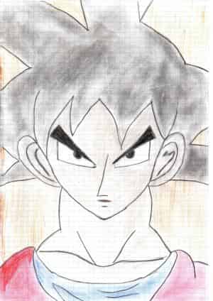 Son-Goku
