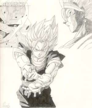 Vegetto
