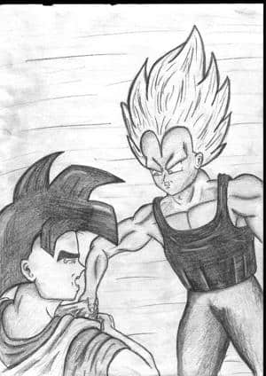 Vegeta vs Goku