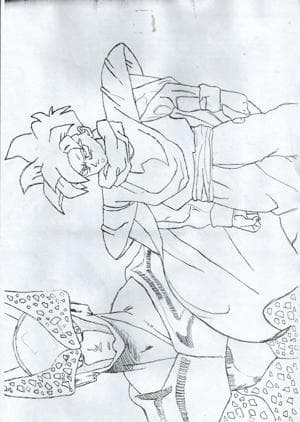 Gohan und Perfect Cell