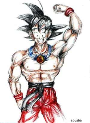 Son goku wins