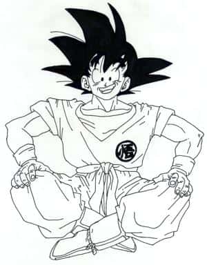 Goku Schneidersitz